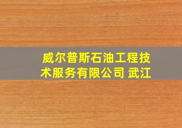 威尔普斯石油工程技术服务有限公司 武江